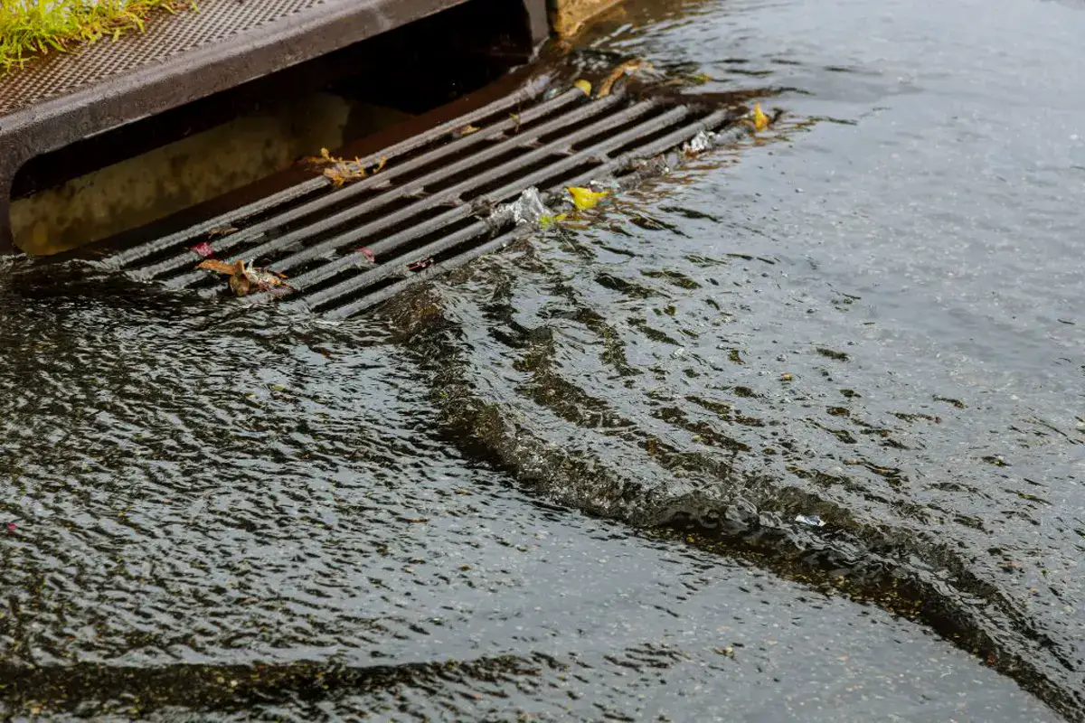 Who Is Responsible For Stormwater Drains In QLD?